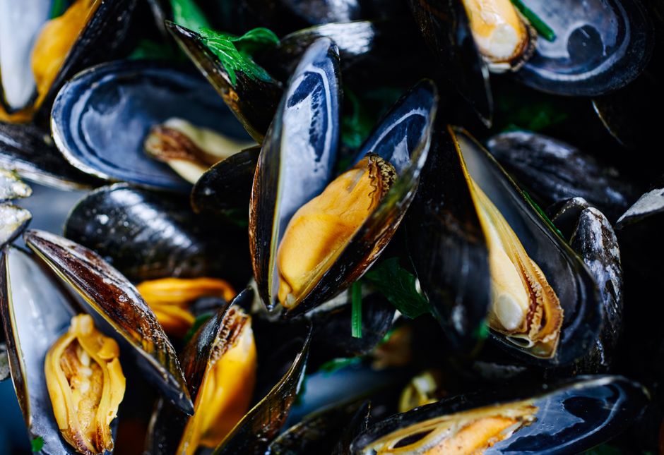 Accompagner des moules : les meilleurs choix à table