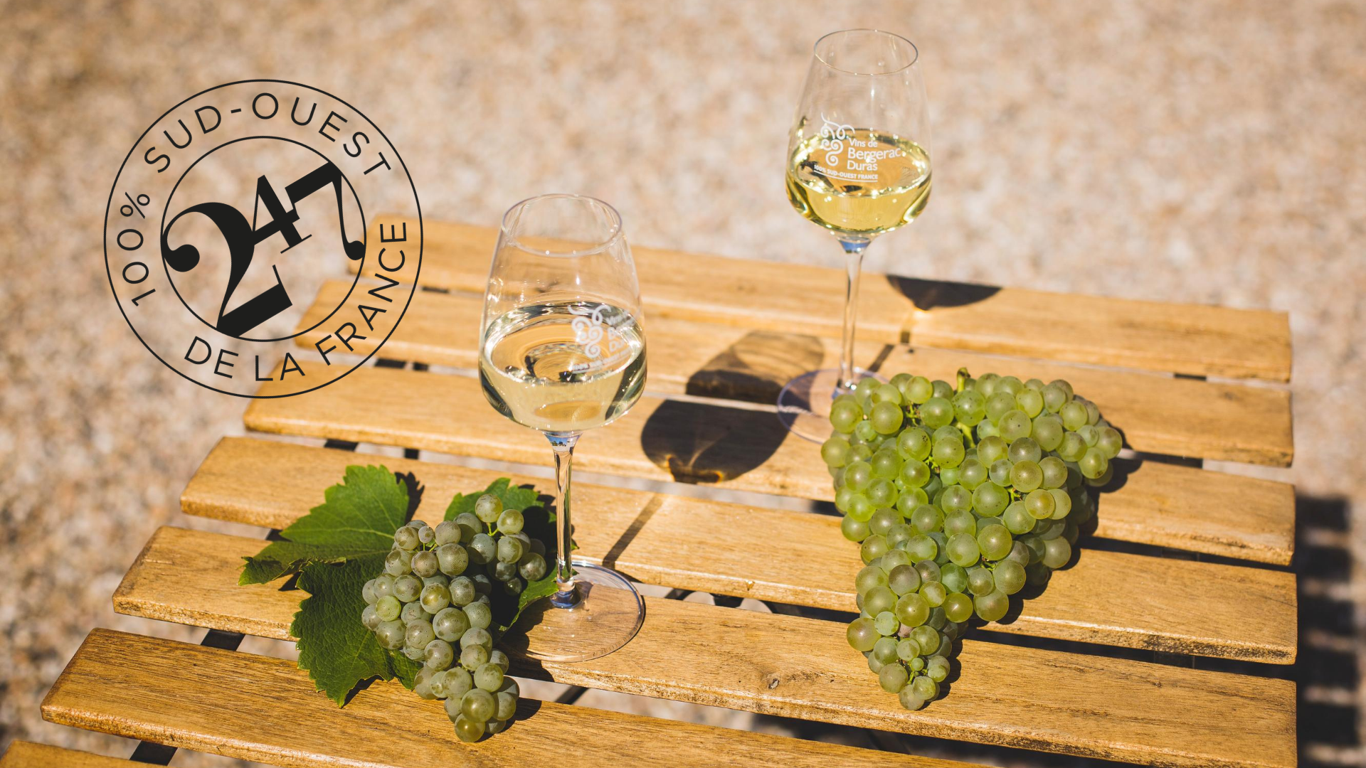 Raisins blancs sur une vigne, illustration des cépages de vin blanc